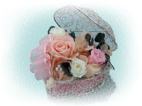 �̌����b�X���̃A�����W�i���R,�T�O�O�j